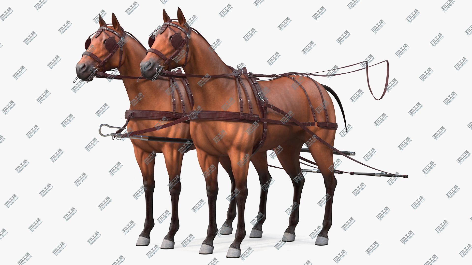 images/goods_img/20210313/Pair of Breast Collar Harness 3D/2.jpg